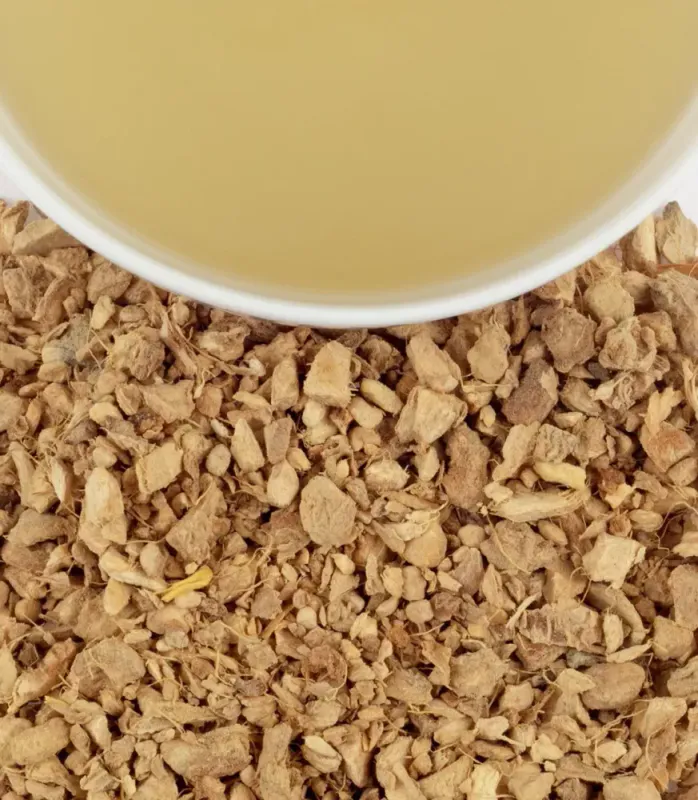 HT Orgnic Ginger Lemon